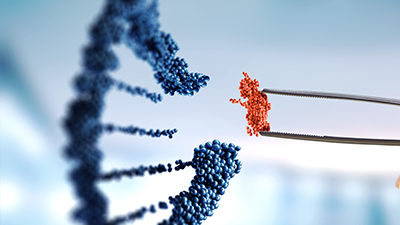 DNA reconfiguration in biopharma